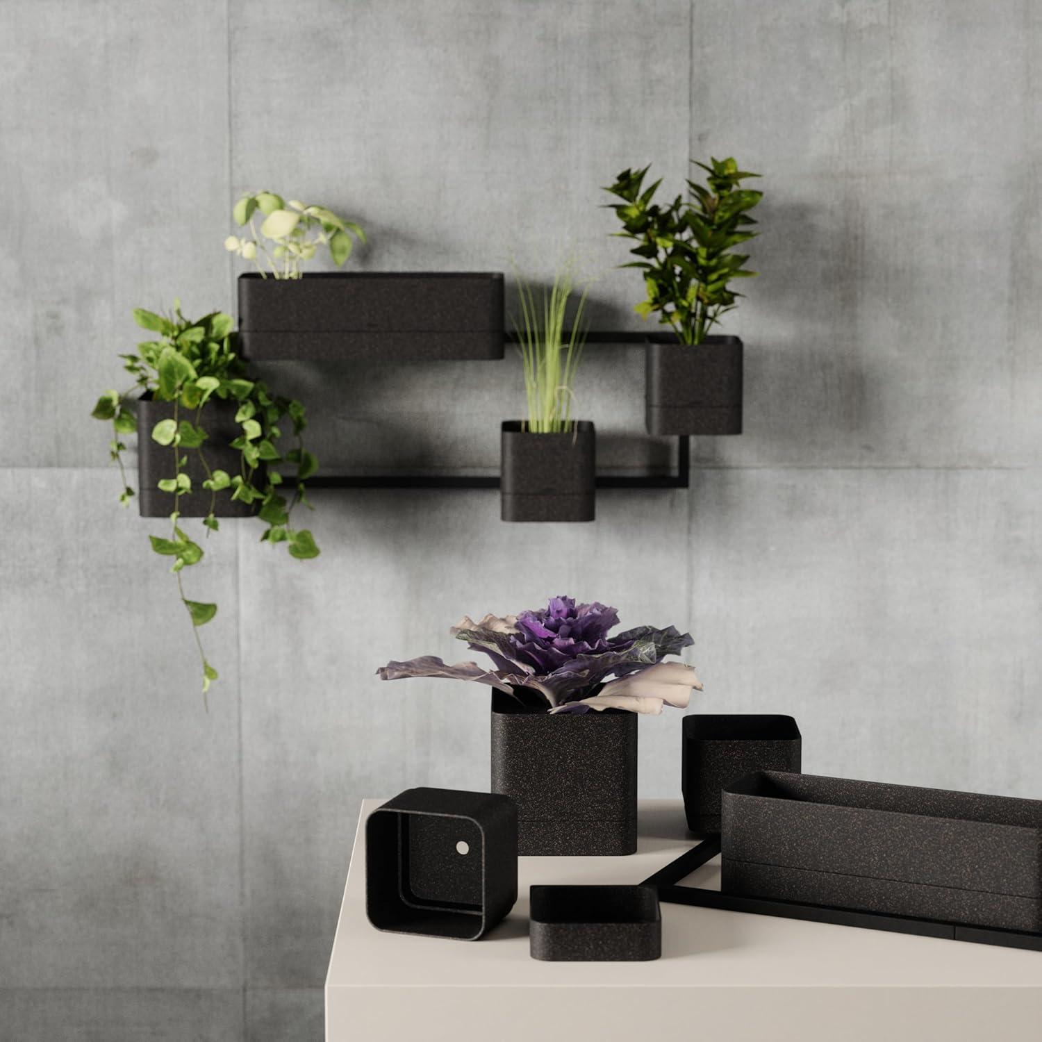 image:imageUmbra Cubiko WallMount Planter with Four Adjustable Pots Suitable for Indoor or Outdoor Use SandBlack