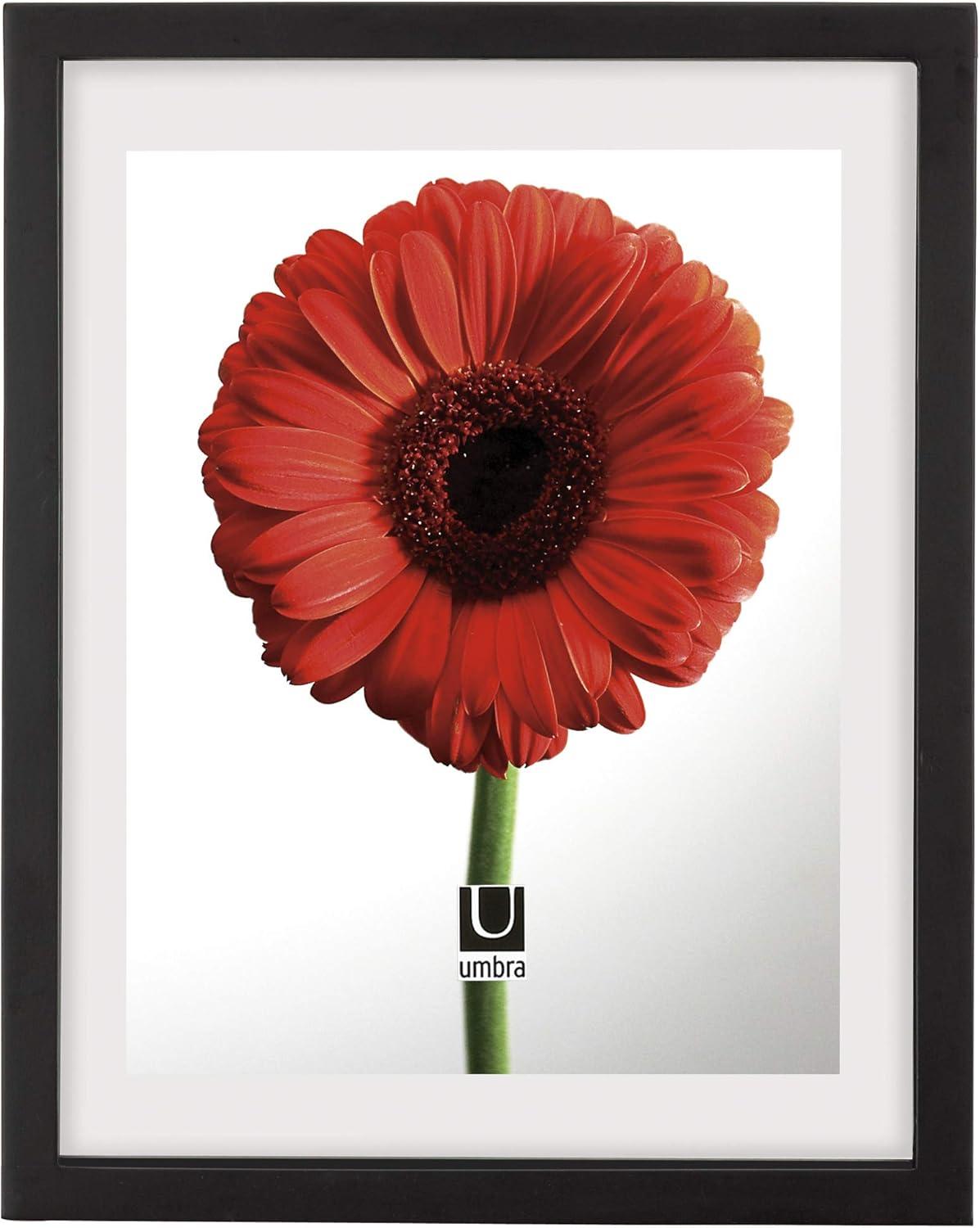 image:imageUmbra Frame for Displaying Documents Diploma Certificate Photo or Artwork 11 x 14 floats 812 x 11 Black 2 Count11 x 14