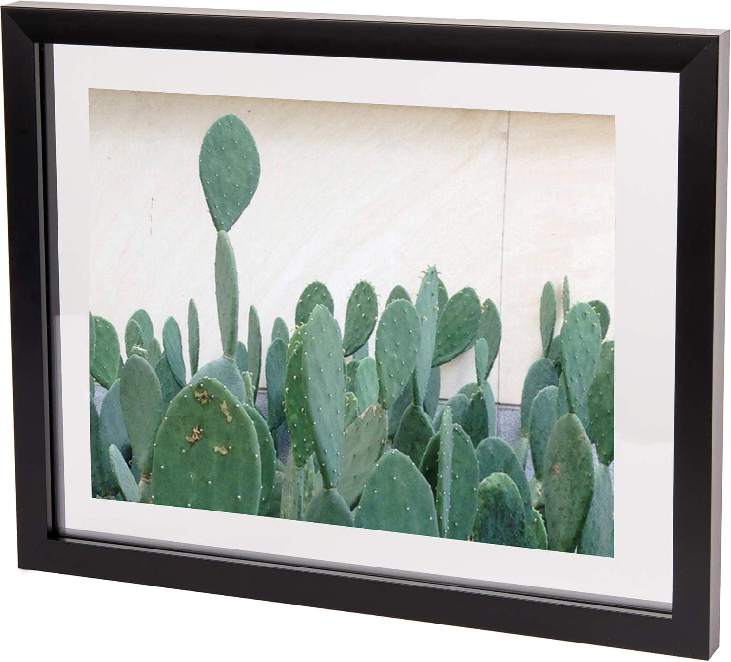 image:imageUmbra Frame for Displaying Documents Diploma Certificate Photo or Artwork 11 x 14 floats 812 x 11 Black 2 Count11 x 14