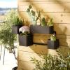 Umbra Cubiko Wall-Mount Planter with Four Adjustable Pots, Suitable for Indoor or Outdoor Use, Sand(Black)