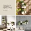 Umbra Cubiko Wall-Mount Planter with Four Adjustable Pots, Suitable for Indoor or Outdoor Use, Sand(Sand)