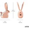 Umbra Dachsie Ring Holder – Gift for Weiner Dog Dachshund Doxie Lover – Jewelry Storage, Brass(Copper)