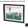 Umbra Frame for Displaying Documents, Diploma, Certificate, Photo or Artwork, 11 x 14 (floats 8-1/2 x 11), Black, 2 Count(13″ x 16″)