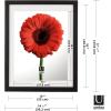 Umbra Frame for Displaying Documents, Diploma, Certificate, Photo or Artwork, 11 x 14 (floats 8-1/2 x 11), Black, 2 Count(13″ x 16″)