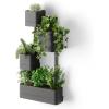 Umbra Cubiko Wall-Mount Planter with Four Adjustable Pots, Suitable for Indoor or Outdoor Use, Sand(Black)