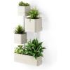 Umbra Cubiko Wall-Mount Planter with Four Adjustable Pots, Suitable for Indoor or Outdoor Use, Sand(Sand)
