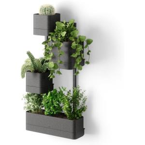Umbra Cubiko Wall-Mount Planter with Four Adjustable Pots, Suitable for Indoor or Outdoor Use, Sand(Black)