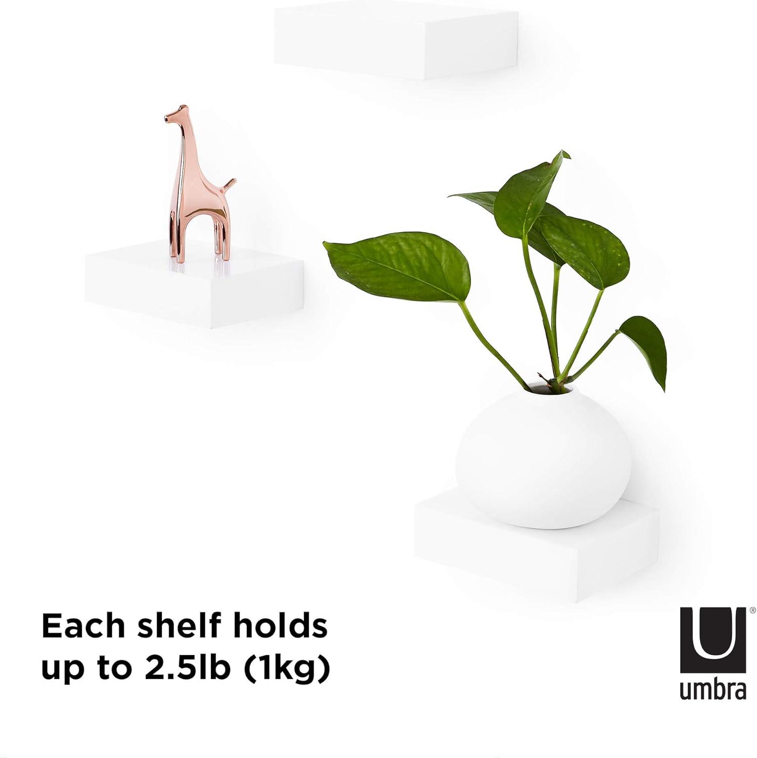 image:imageUmbra Showcase Floating Shelves Set of 3 Gallery Style Display for Small Objects and More WhiteWhite