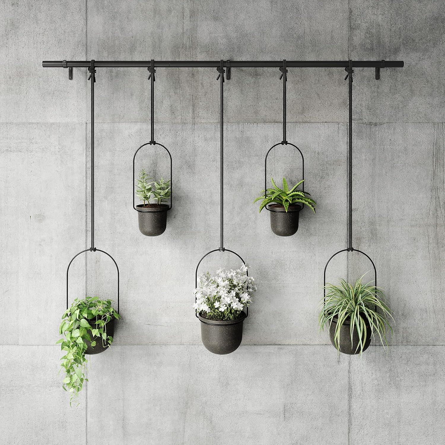 image:imageUmbra Triflora Hanging Planter for Window Indoor Herb Garden Set of 3 WhiteBlackBlackBlack