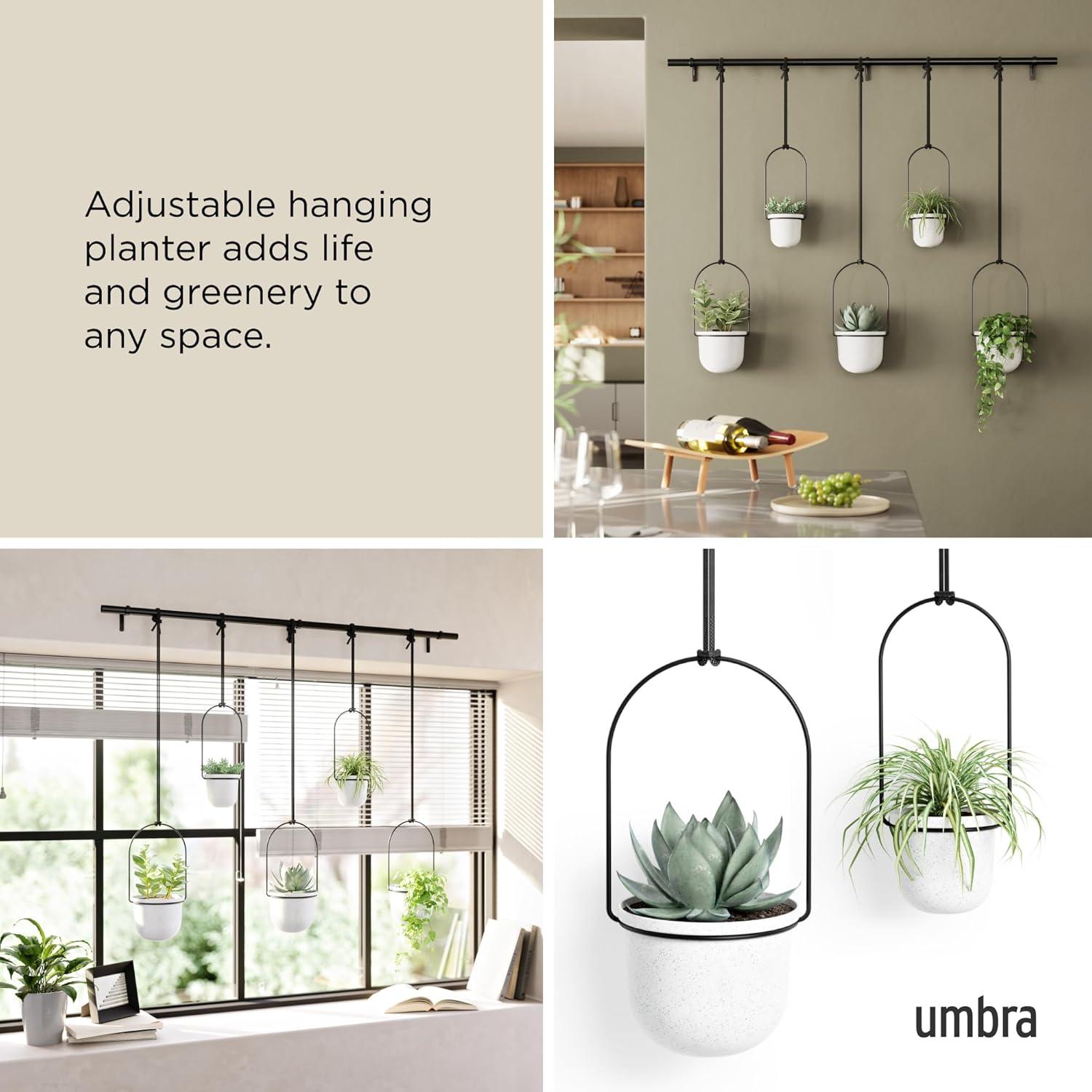 image:imageUmbra Triflora Hanging Planter for Window Indoor Herb Garden Set of 3 WhiteBlackWhiteBlack