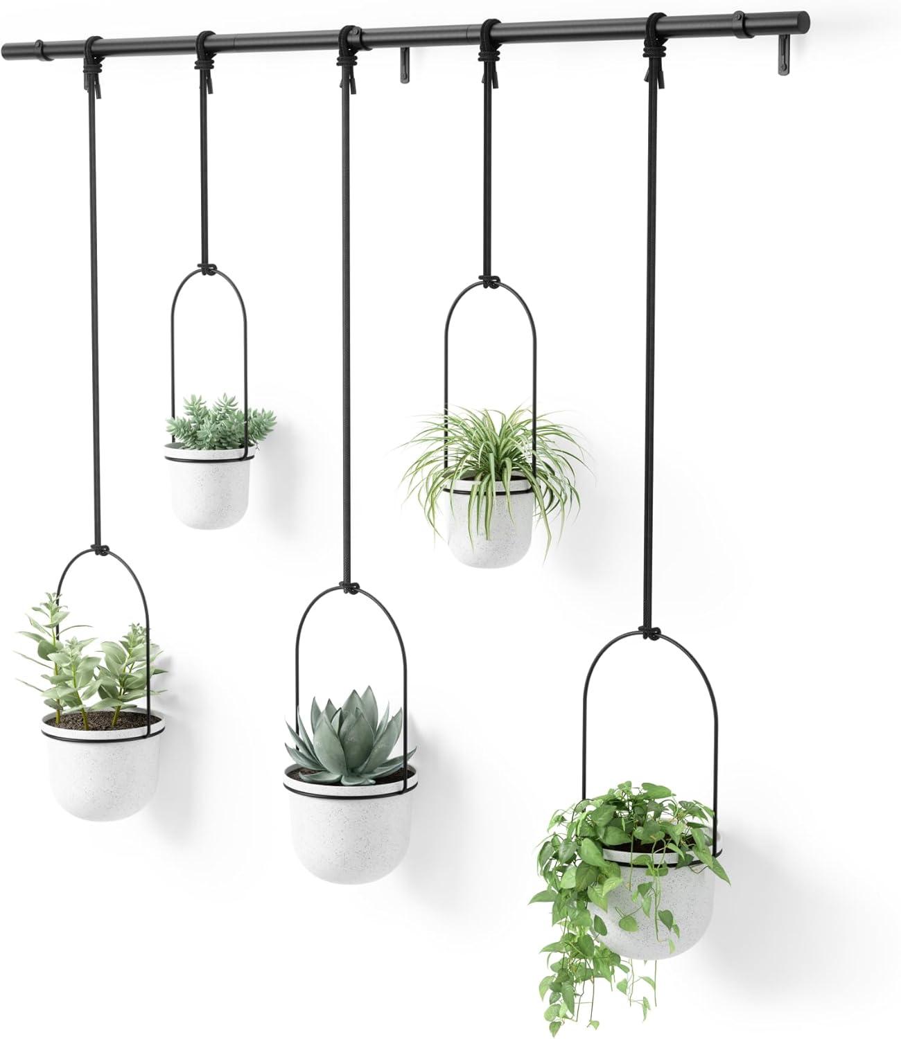 image:imageUmbra Triflora Hanging Planter for Window Indoor Herb Garden Set of 3 WhiteBlackWhiteBlack
