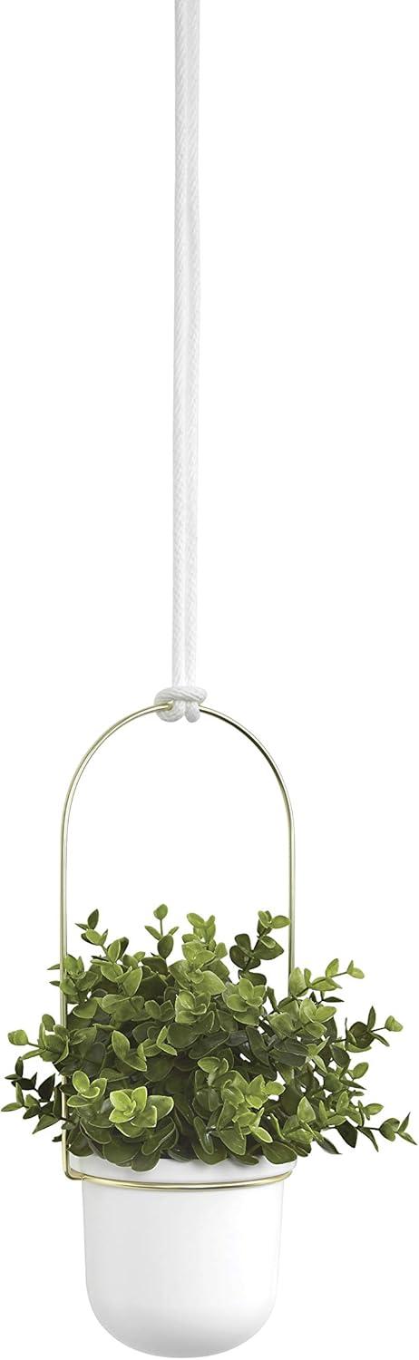 image:imageUmbra Triflora Hanging Planter for Window Indoor Herb Garden Set of 3 WhiteBrassWhiteBrass