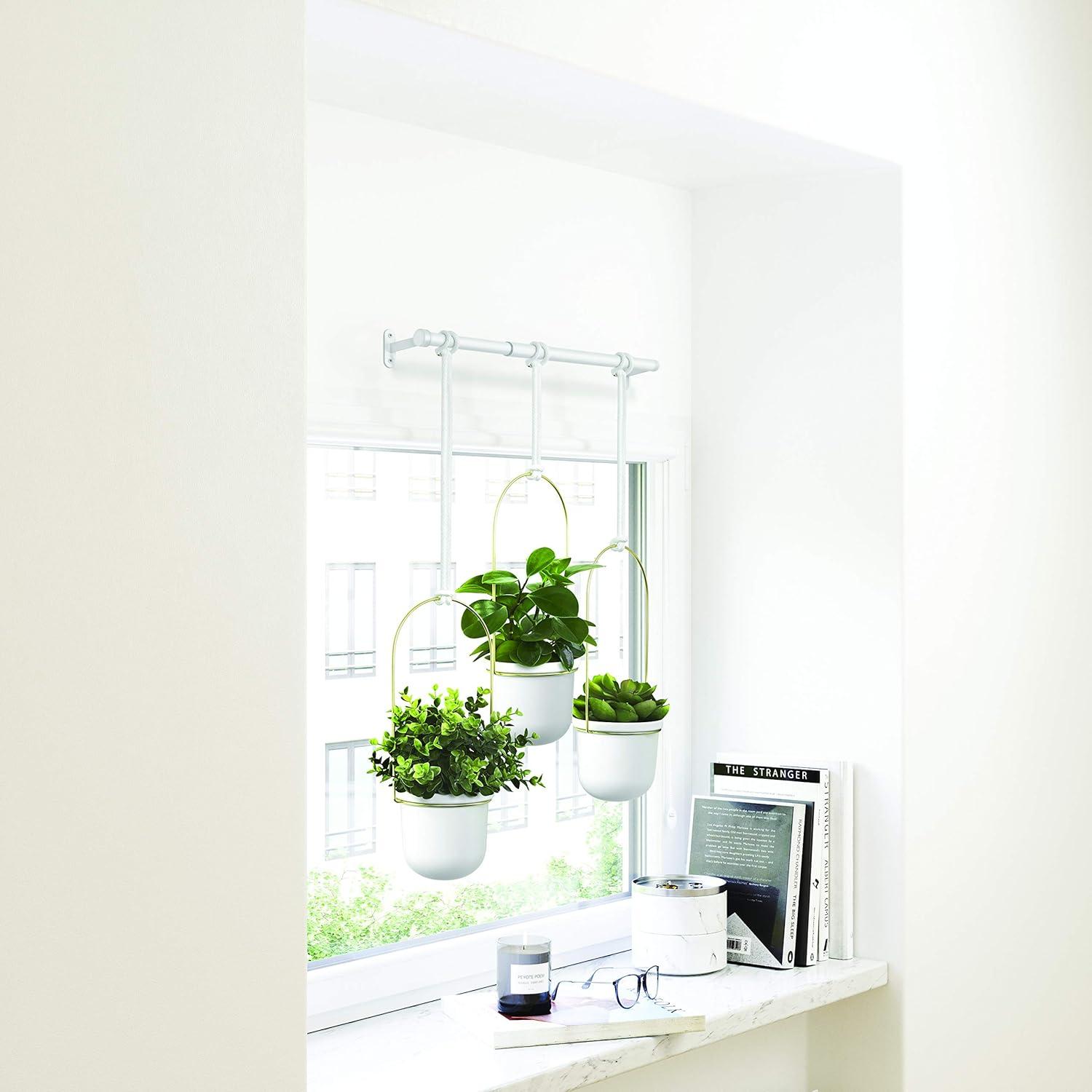 image:imageUmbra Triflora Hanging Planter for Window Indoor Herb Garden Set of 3 WhiteBrassWhiteBrass