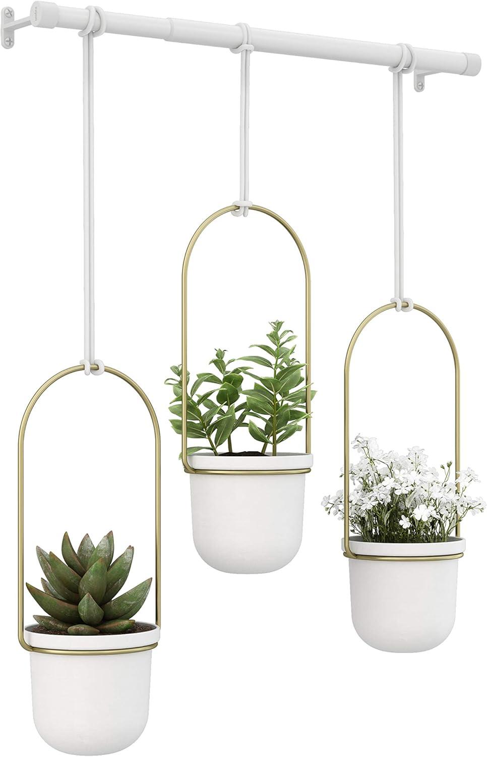 image:imageUmbra Triflora Hanging Planter for Window Indoor Herb Garden Set of 3 WhiteBrassWhiteBrass