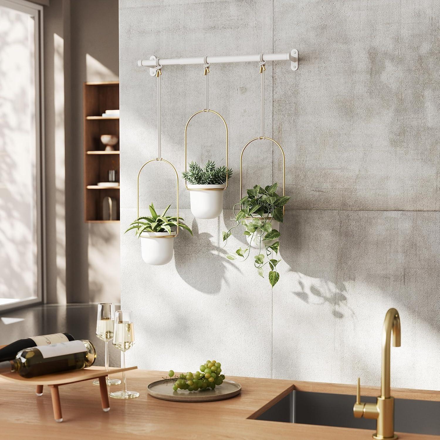image:imageUmbra Triflora Hanging Planter for Window Indoor Herb Garden Set of 3 WhiteBrassWhiteBrass