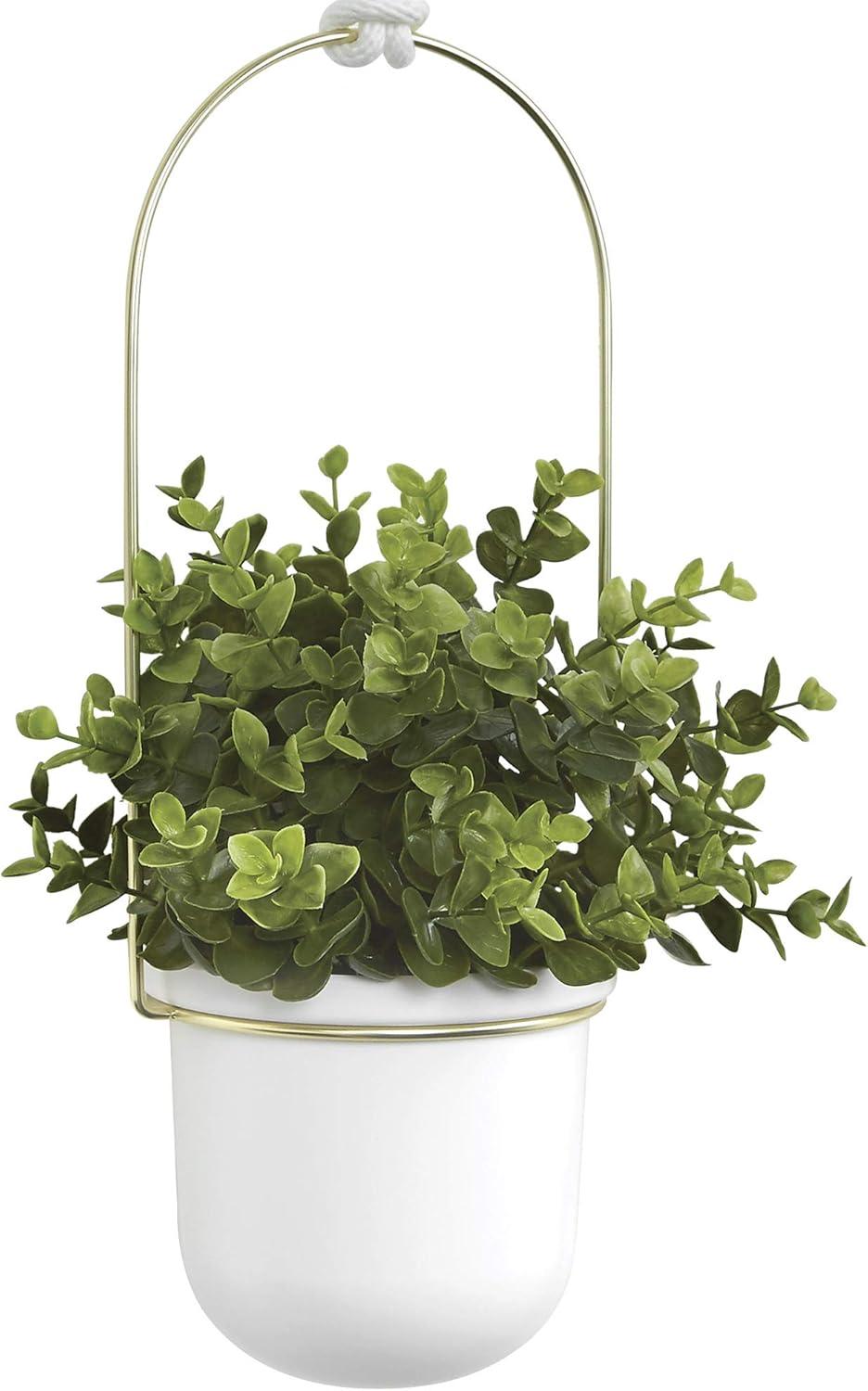 image:imageUmbra Triflora Hanging Planter for Window Indoor Herb Garden Set of 3 WhiteBrassWhiteBrass