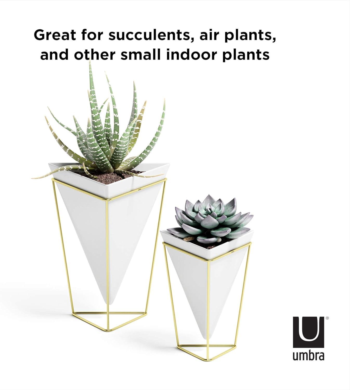 image:imageUmbra Trigg Desktop Planter Vase amp Geometric Containerfor Succulent Air Mini Cactus Faux Plants and More Desk WhiteBrass
