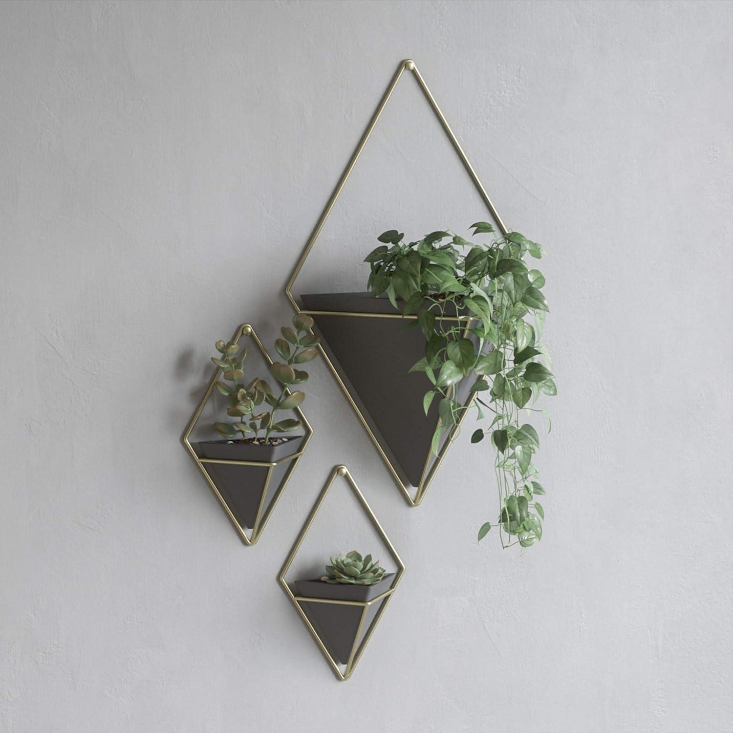 image:imageUmbra Trigg Hanging Planter Vase Wall Decor Pot and Container for Succulents Cactus Faux Plants and More Large GreyCopperBlackBrass