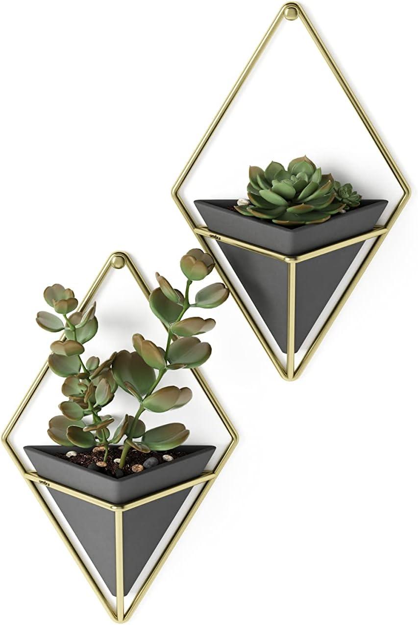 image:imageUmbra Trigg Hanging Planter Vase Wall Decor Pot and Container for Succulents Cactus Faux Plants and More Large GreyCopperBlackBrass
