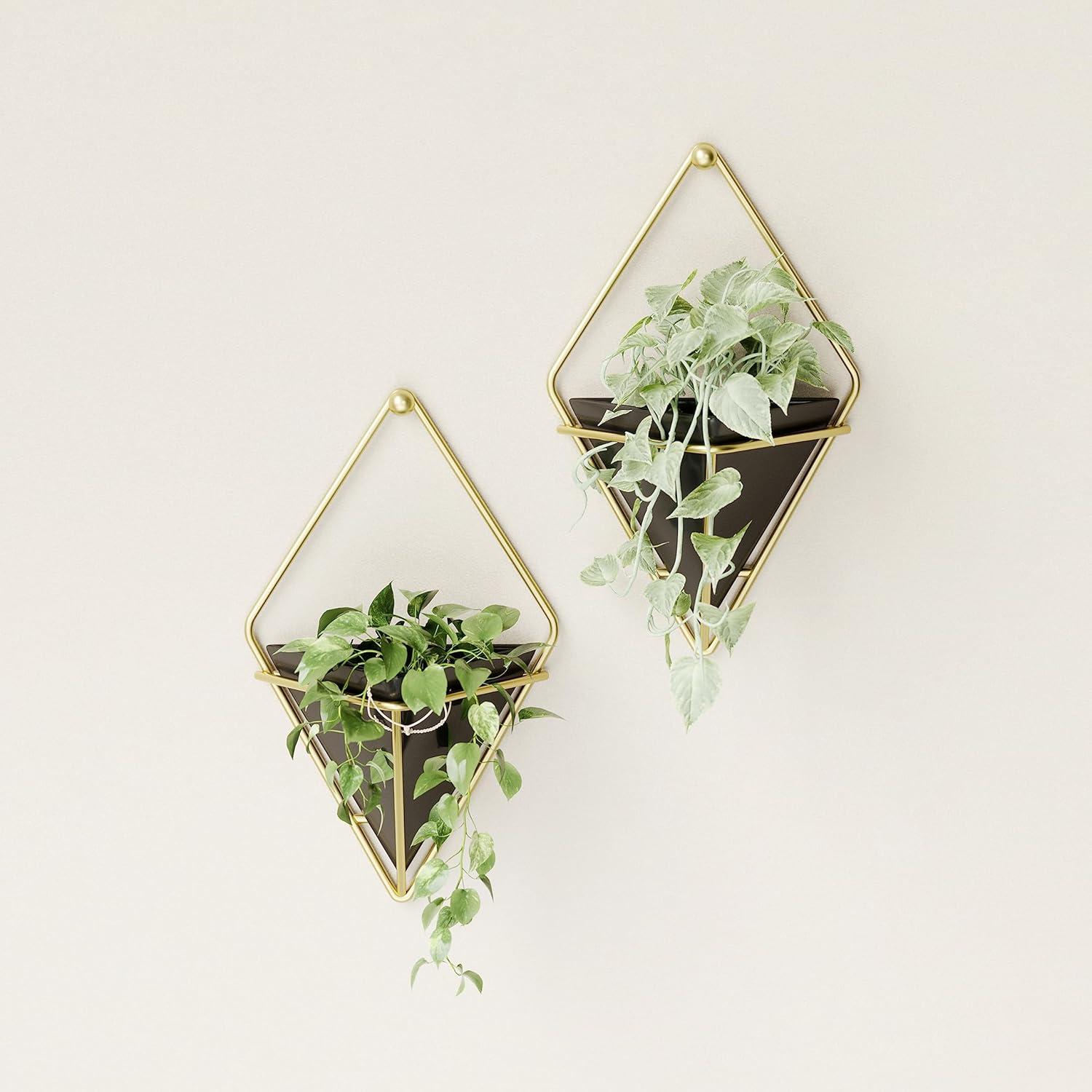 image:imageUmbra Trigg Hanging Planter Vase Wall Decor Pot and Container for Succulents Cactus Faux Plants and More Large GreyCopperBlackBrass