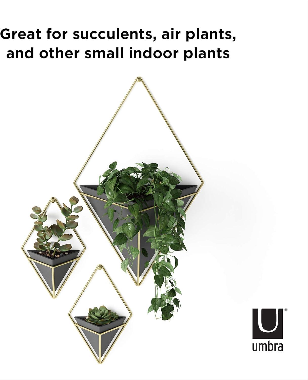image:imageUmbra Trigg Hanging Planter Vase Wall Decor Pot and Container for Succulents Cactus Faux Plants and More Large GreyCopperBlackBrass