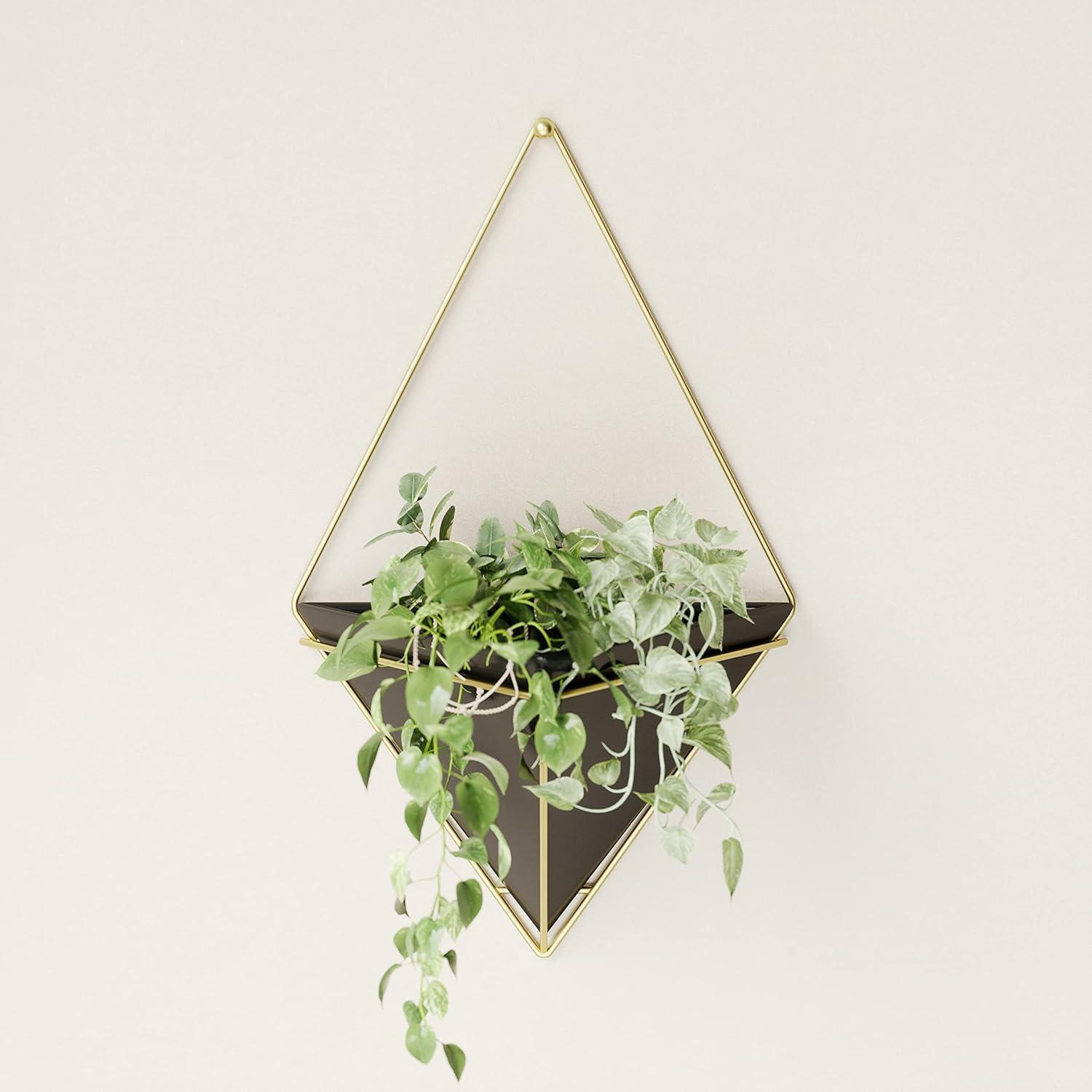 image:imageUmbra Trigg Hanging Planter Vase Wall Decor Pot and Container for Succulents Cactus Faux Plants and More Large GreyCopperBlackBrass
