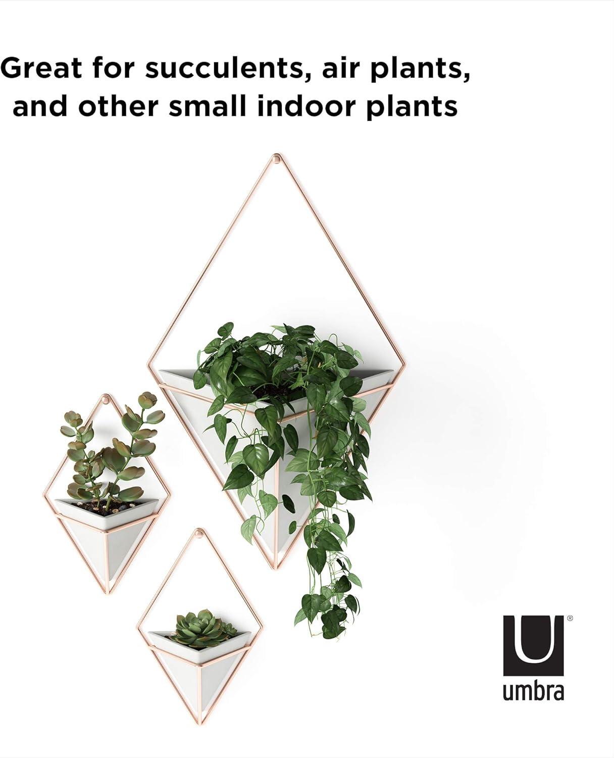 image:imageUmbra Trigg Hanging Planter Vase Wall Decor Pot and Container for Succulents Cactus Faux Plants and More Large GreyCopperGreyCopper
