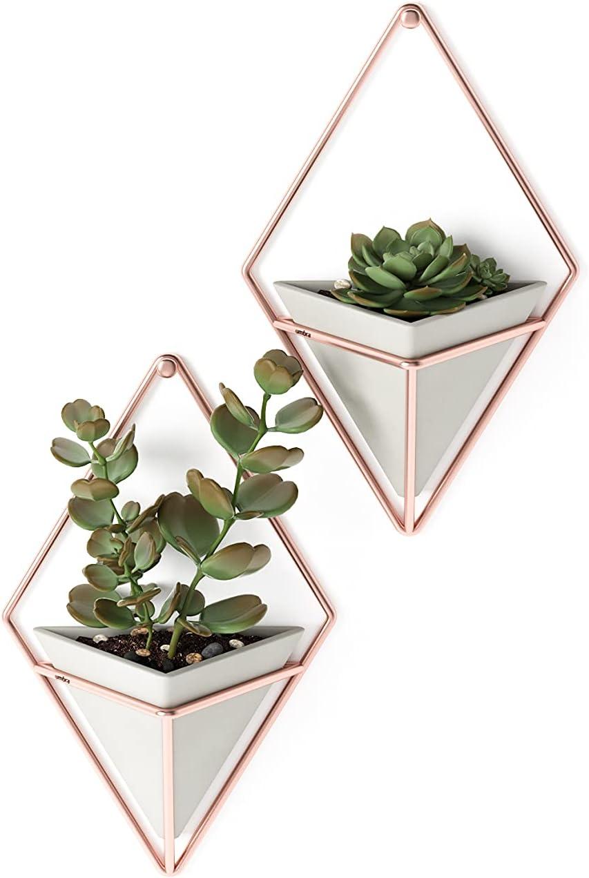 image:imageUmbra Trigg Hanging Planter Vase Wall Decor Pot and Container for Succulents Cactus Faux Plants and More Large GreyCopperGreyCopper