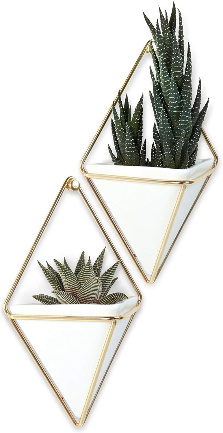 image:imageUmbra Trigg Hanging Planter Vase Wall Decor Pot and Container for Succulents Cactus Faux Plants and More Large GreyCopperWhiteBrass