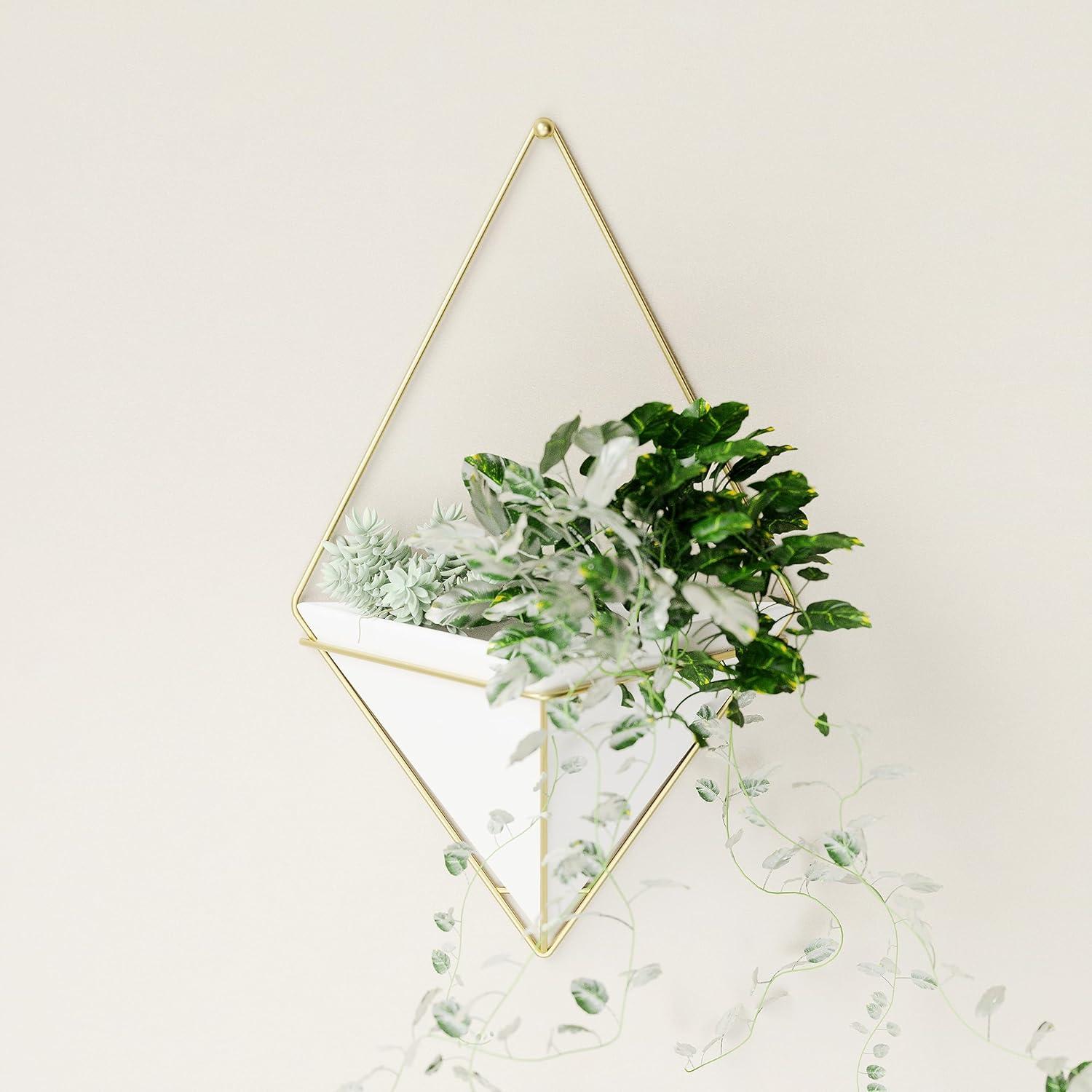 image:imageUmbra Trigg Hanging Planter Vase Wall Decor Pot and Container for Succulents Cactus Faux Plants and More Large GreyCopperWhiteBrass