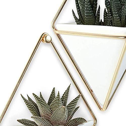 image:imageUmbra Trigg Hanging Planter Vase Wall Decor Pot and Container for Succulents Cactus Faux Plants and More Large GreyCopperWhiteBrass