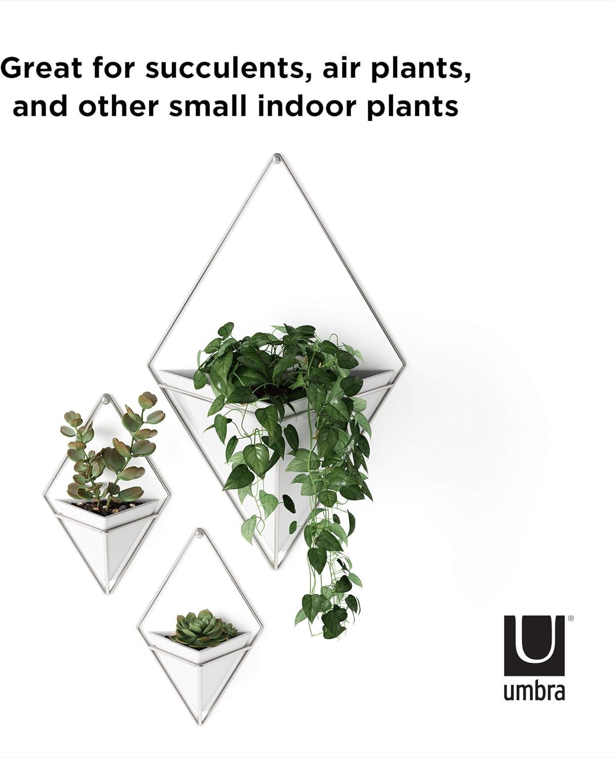 image:imageUmbra Trigg Hanging Planter Vase Wall Decor Pot and Container for Succulents Cactus Faux Plants and More Large GreyCopperWhiteNickel