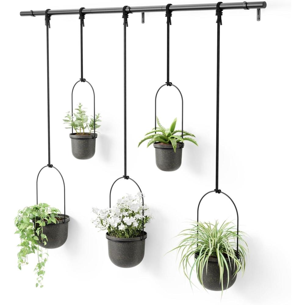 image:imageUmbra Triflora Hanging Planter for Window Indoor Herb Garden Set of 3 WhiteBlackBlackBlack