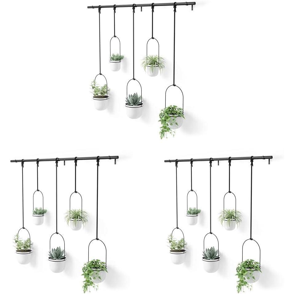 image:imageUmbra Triflora Hanging Planter for Window Indoor Herb Garden Set of 3 WhiteBrassWhiteBlack