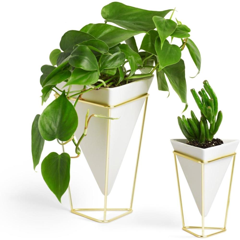 image:imageUmbra Trigg Desktop Planter Vase amp Geometric Containerfor Succulent Air Mini Cactus Faux Plants and More Desk WhiteBrass
