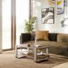 Umbra Bellwood Coffee Table with Storage, Natural(Aged Walnut)