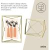 Umbra Prisma 4×6 Picture Frame, Metal Floating Wall or Desk Photo Display for Pictures, Art, Illustrations, and More, Chrome(Brass)