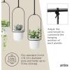 Umbra Triflora Hanging Planter for Window, Indoor Herb Garden, Set of 3, White/Black(White/Black)