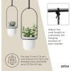 Umbra Triflora Hanging Planter for Window, Indoor Herb Garden, Set of 3, White/Brass(White/Black)