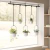 Umbra Triflora Hanging Planter for Window, Indoor Herb Garden, Set of 3, White/Brass(White/Black)