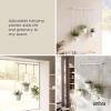 Umbra Triflora Hanging Planter for Window, Indoor Herb Garden, Set of 3, White/Brass(White/Brass)