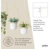 Umbra Triflora Hanging Planter for Window, Indoor Herb Garden, Set of 3, White/Brass(White/Brass)