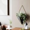 Umbra Trigg Hanging Planter Vase Wall Decor, Pot and Container for Succulents, Cactus, Faux Plants, and More, Large, Grey/Copper(Black/Brass)
