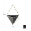 Umbra Trigg Hanging Planter Vase Wall Decor, Pot and Container for Succulents, Cactus, Faux Plants, and More, Large, Grey/Copper(Black/Brass)