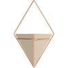 Umbra Trigg Hanging Planter Vase Wall Decor, Pot and Container for Succulents, Cactus, Faux Plants, and More, Large, Grey/Copper(Grey/Copper)