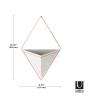 Umbra Trigg Hanging Planter Vase Wall Decor, Pot and Container for Succulents, Cactus, Faux Plants, and More, Large, Grey/Copper(Grey/Copper)