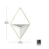 Umbra Trigg Hanging Planter Vase Wall Decor, Pot and Container for Succulents, Cactus, Faux Plants, and More, Large, Grey/Copper(White/Brass)