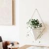 Umbra Trigg Hanging Planter Vase Wall Decor, Pot and Container for Succulents, Cactus, Faux Plants, and More, Large, Grey/Copper(White/Nickel)