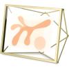 Umbra Prisma 4×6 Picture Frame, Metal Floating Wall or Desk Photo Display for Pictures, Art, Illustrations, and More, Chrome(Brass)