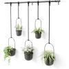 Umbra Triflora Hanging Planter for Window, Indoor Herb Garden, Set of 3, White/Black(Black/Black)